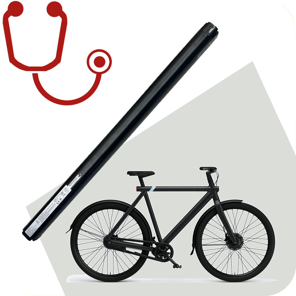 Überprüfungskosten Vanmoof S3 X3 Batterie VM