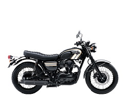 W800 W800