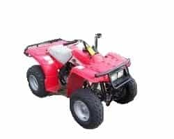 YFB250 Timberwolf (1989-2000) YFB250 Timberwolf (1989-2000)